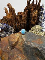 Golden Hills Turquoise Oval Ring - Size 6.5