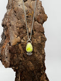 Palomino Turquoise Rounded Teardrop Necklace