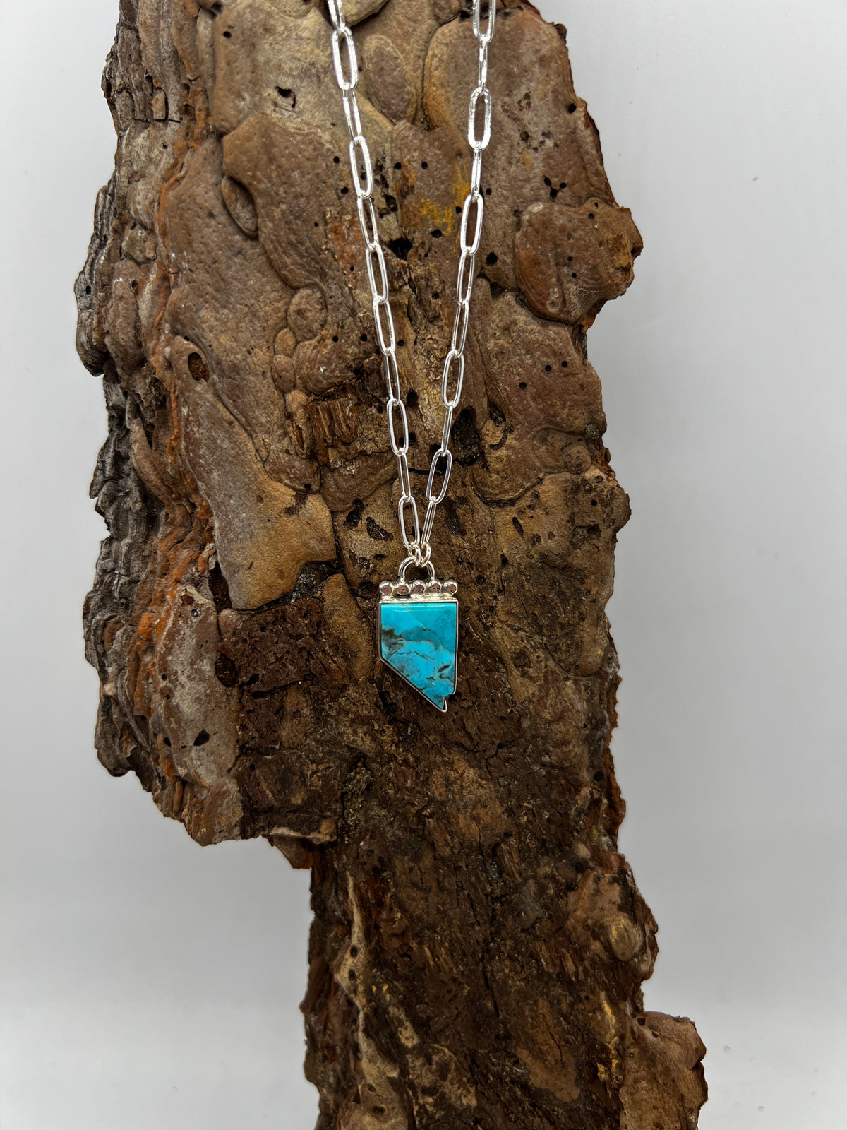 Kingman Turquoise Nevada Necklace
