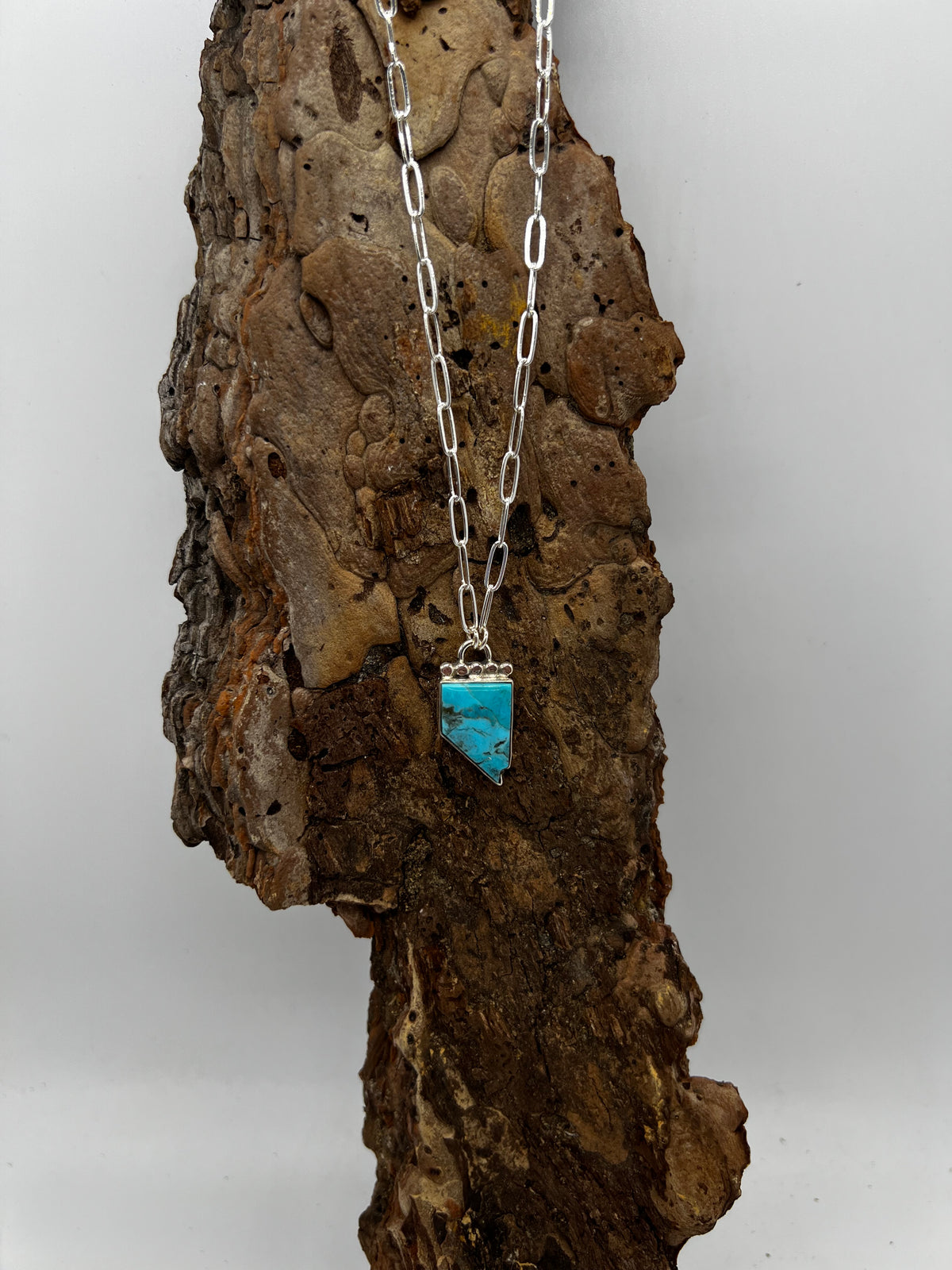 Kingman Turquoise Nevada Necklace
