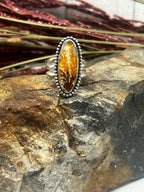 Dendritic Agate Elongated Oval - Brown & Orange Vines w/Golden Background - Size 7